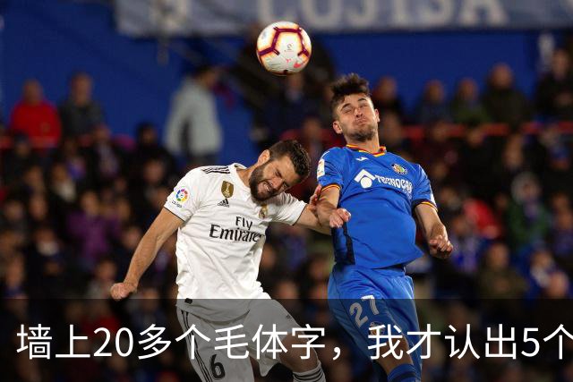 墙上20多个毛体字，我才认出5个！能全认出来的，读书是真下功夫了。学草书应该反复练一本帖，还是多看几家？